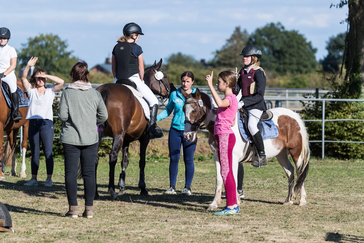 Bild 2 - Pony Akademie Turnier